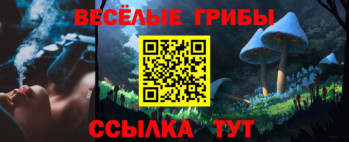 Псилоцибиновые грибы GOLDEN TEACHER  Вход с VPN  Псилоцибиновые грибы мухоморы  Валуйки 